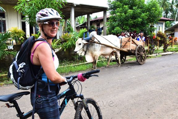 Bike Abenteuer Nord-Sulawesi/ Indonesien - Vulkane, Regenwälder, Koboldmakis, Schnorcheln & Tauchen