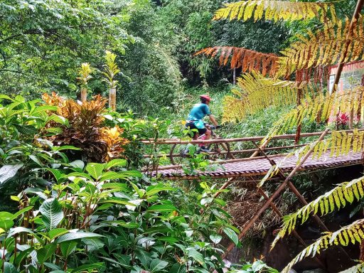 Entdecken Sie die Java Bike Erlebnis Tour: 8 Tage von Bali zum Vulkan Ijen. Kontaktieren Sie uns für mehr Infos!