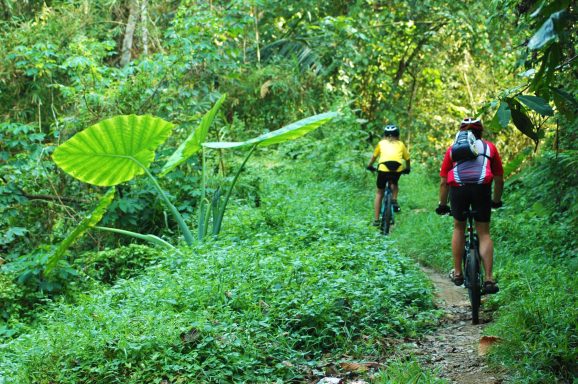 Erleben Sie eine 14-tägige Bali und Java Bike Adventure mit dem Vulkan Ijen als Highlight!