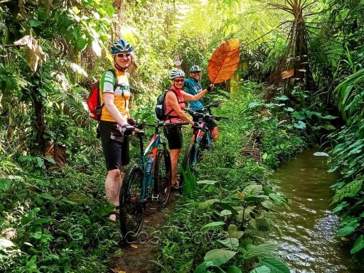 Entdecken Sie Bali per Bike: 5-tägige Abenteuer-Tour mit Rafting, Tempelbesuchen und Insider-Infos!