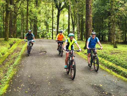 Erleben Sie eine unvergessliche Radtour von Bedugul nach Ubud mit Tempelbesuch und atemberaubender Natur!