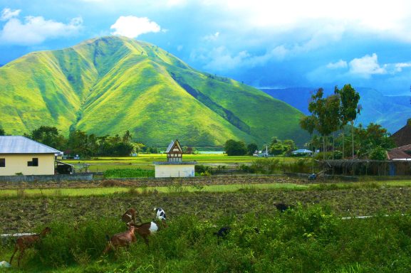 Auf den Spuren der Orang-Utans in Nord-Sumatra 14 Tage Bike Abenteuer pur!