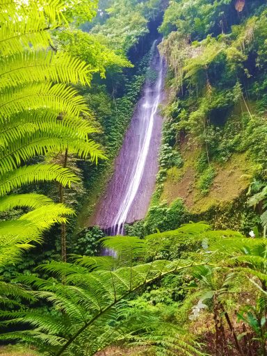 Erlebe die 2-tägige Wasserfall Bike/Trekking Tour in Bali: Abenteuer, Natur und atemberaubende Wasserfälle!