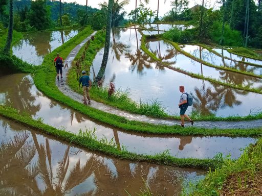 Erlebe die 2-tägige Wasserfall Bike/Trekking Tour in Bali: Abenteuer, Natur und atemberaubende Wasserfälle!