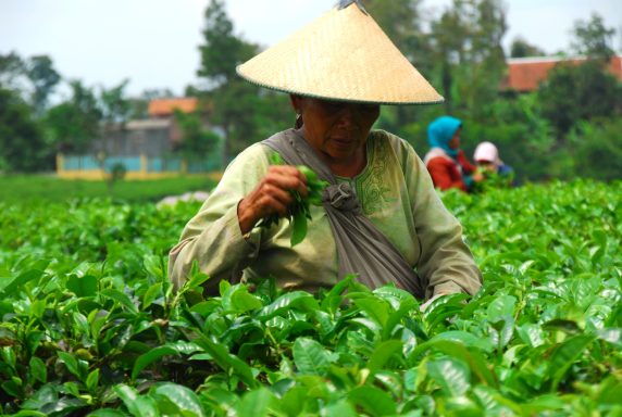 Entdecken Sie Java: Vulkane, Tempel und Abenteuer auf der faszinierenden Insel Indonesiens!