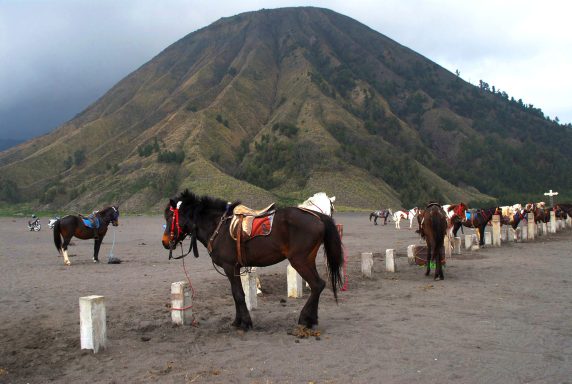 Entdecken Sie Java: Vulkane, Tempel und Abenteuer auf der faszinierenden Insel Indonesiens!