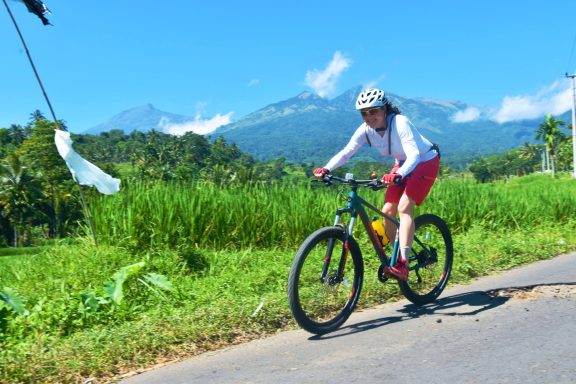 Entdecken Sie die Walhaie auf unserer 15-tägigen Aktivtour von Bali nach Sumbawa: Biken, Schnorcheln, Segeln und Relaxen