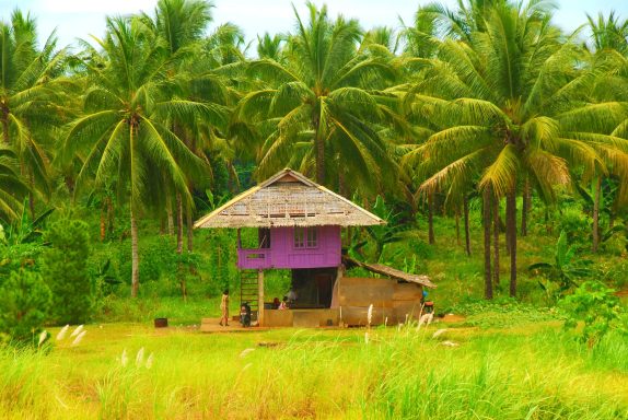 Entdecken Sie Sulawesi: Abenteuer, unberührte Natur, Kultur und atemberaubende Tauchspots in Indonesien!