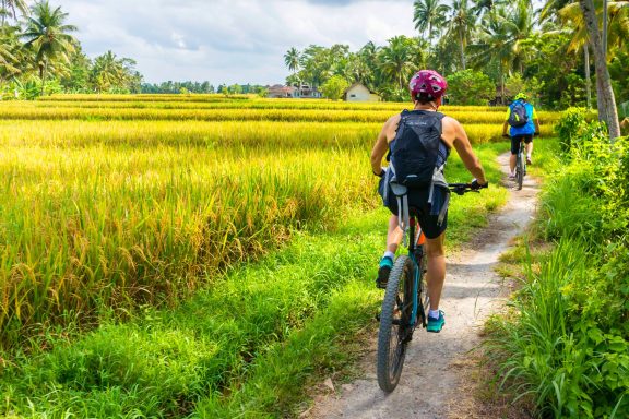 Erleben Sie eine unvergessliche Tagestour mit dem Bike zu den Reisterrassen und dem heiligen Wasser in Bali!