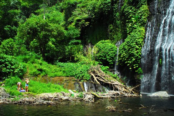 Erleben Sie Regenwald-Trekking und entdecken Sie die Geheimnisse des Kopi Luwak, des teuersten Kaffees der Welt!