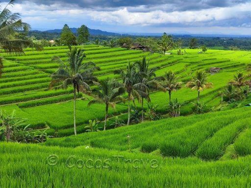 Entdecke Bali: Vielfalt, Abenteuer, Kultur und unvergessliche Erlebnisse abseits des Massentourismus!